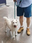 以上这些方面的勤
